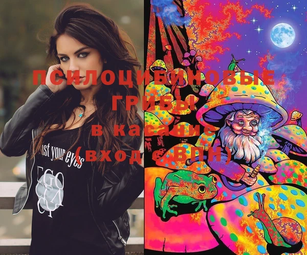 марки lsd Карталы