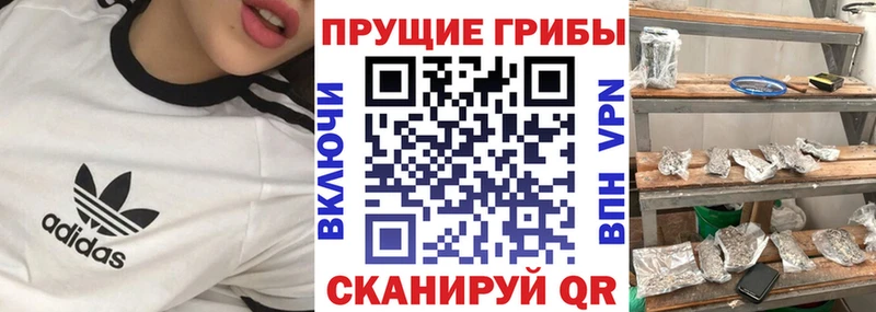 Купить Барабинск Галлюциногенные грибы Psilocybe